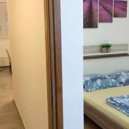 Kristijan Apartment Novigrad Istria