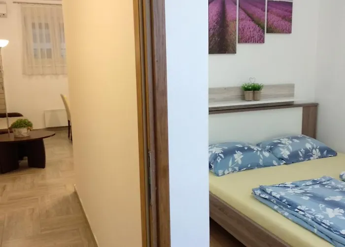 Kristijan Apartman Novigrad Istria